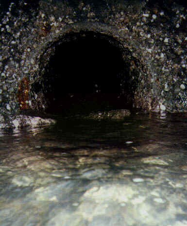 drain1.jpg (45217 bytes)