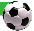 Nlogop1.gif (5440 bytes)